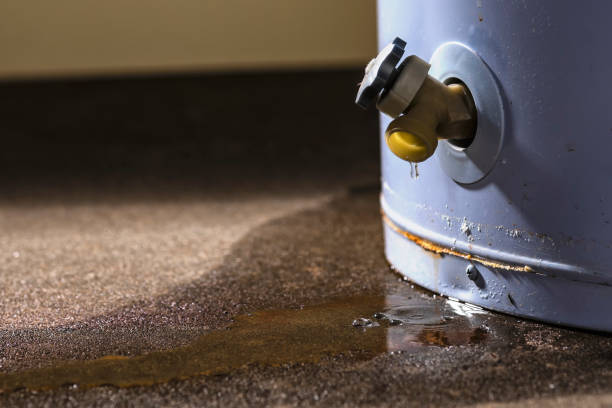 Best 24-hour water damage restoration  in Highlands, NC