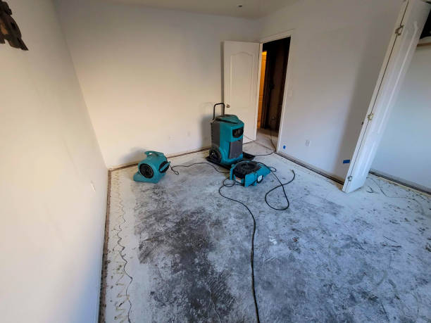 Best Flood damage cleanup  in Highlands, NC