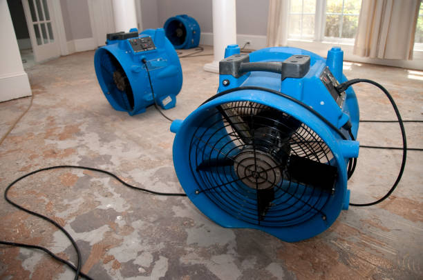 Best Water damage restoration cost  in Highlands, NC
