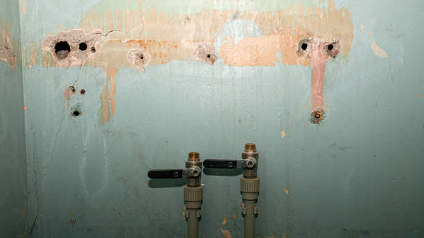 Best Emergency water damage restoration  in Highlands, NC