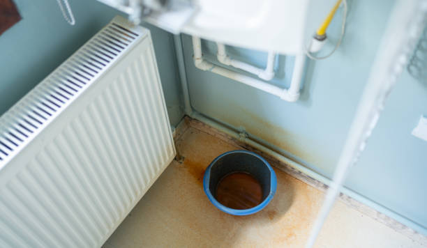 Best Carpet water damage restoration  in Highlands, NC