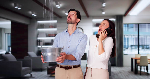 Best Water damage contractors near me  in Highlands, NC